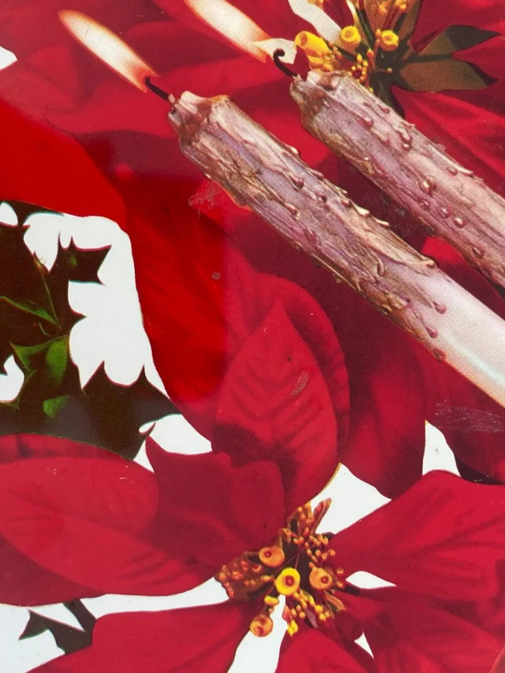 Poinsettia Plate